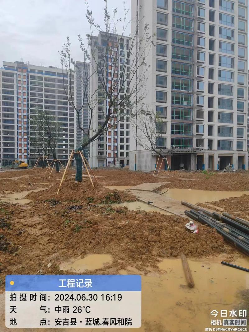 下雨也不停,苗木继续上#园林绿化工程 #小区绿化 #实地拍摄 - 抖音