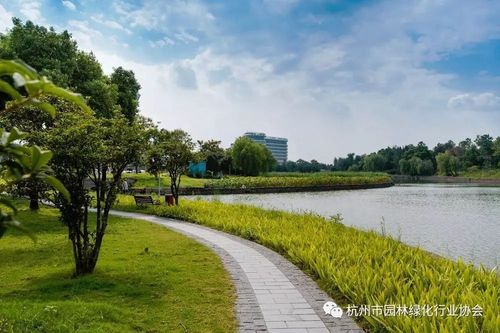 2016年度杭州市优秀园林绿化工程道路组金奖